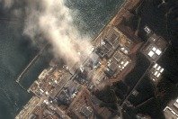L’Europe « n’a pas tiré les leçons des catastrophes environnementales »